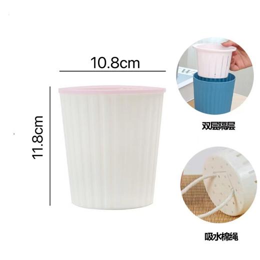 【安娜蝴蝶兰.A级】2.8寸杯蝴蝶兰1盆+送高档白色自吸盆1个/份 买2份减10元    颜色会因环境以及开放度等因素略有深浅差别 商品图2