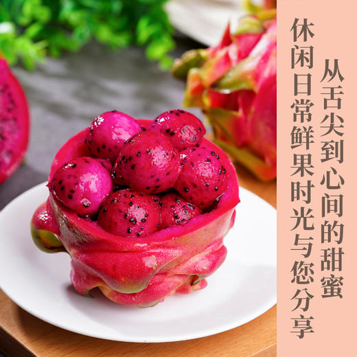 红心火龙果  新鲜现摘  个头饱满 甜蜜爆汁细腻嫰滑 包邮发出 商品图0