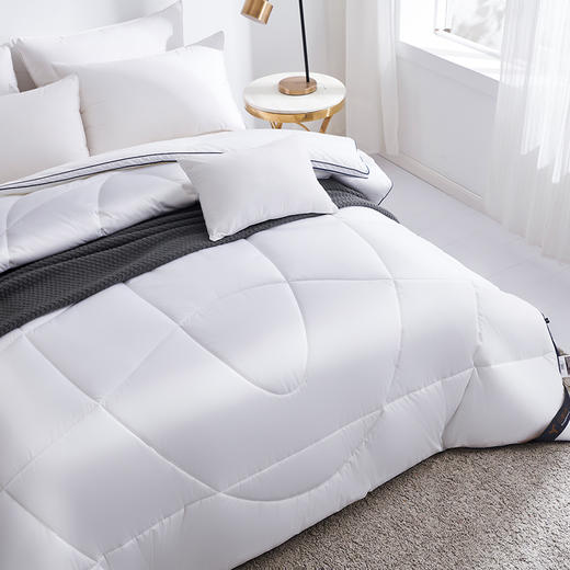 【惠慈】石墨烯羊毛被 商品图2