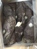鳕鱼头1千克 商品缩略图9