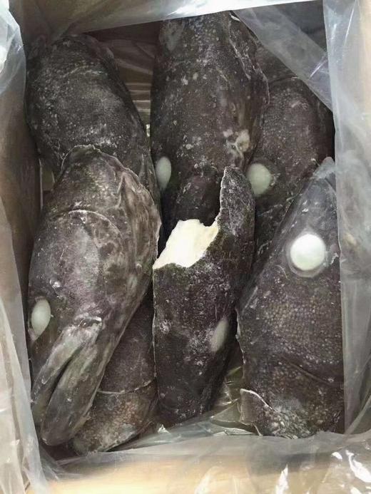 鳕鱼头1千克 商品图9