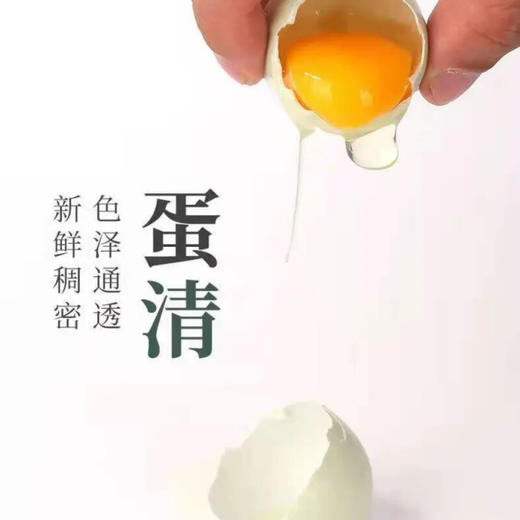 郧阳鲍峡绿壳土鸡蛋30枚/60枚 商品图1