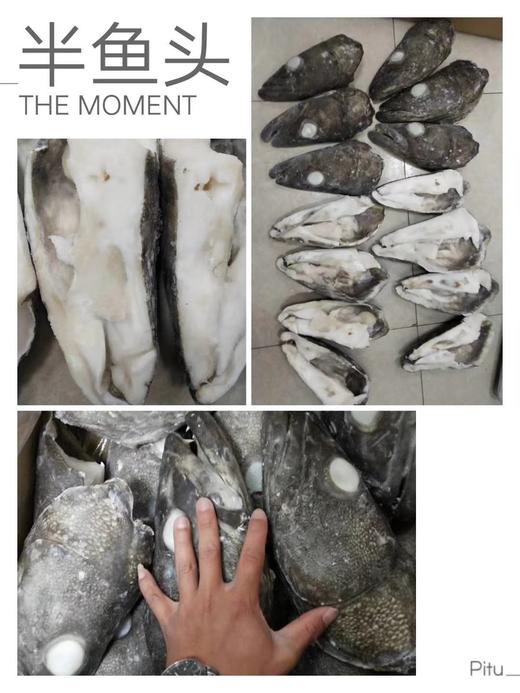 鳕鱼头1千克 商品图4