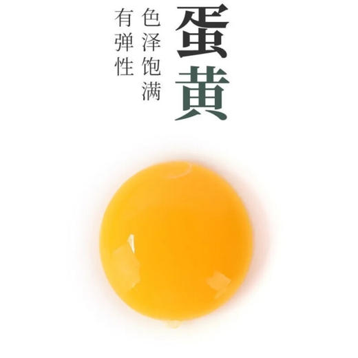 郧阳鲍峡绿壳土鸡蛋30枚/60枚 商品图2
