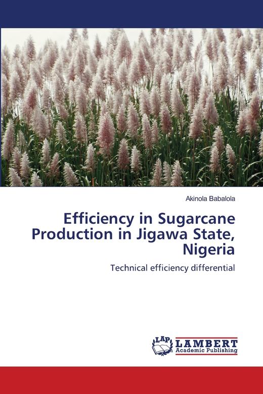 【预售 按需印刷】Efficiency in Sugarcane Production in Jigawa State  Nigeria 商品图0