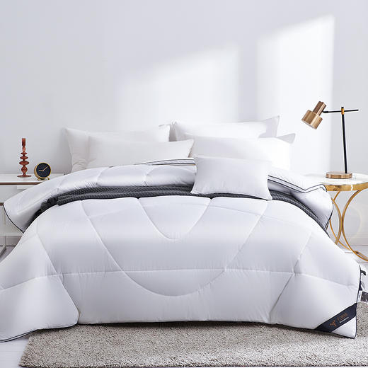 【惠慈】石墨烯羊毛被 商品图1