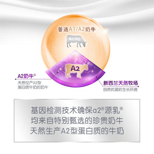 澳洲 A2白金婴儿配方奶粉1段 900g 跨境购 商品图2