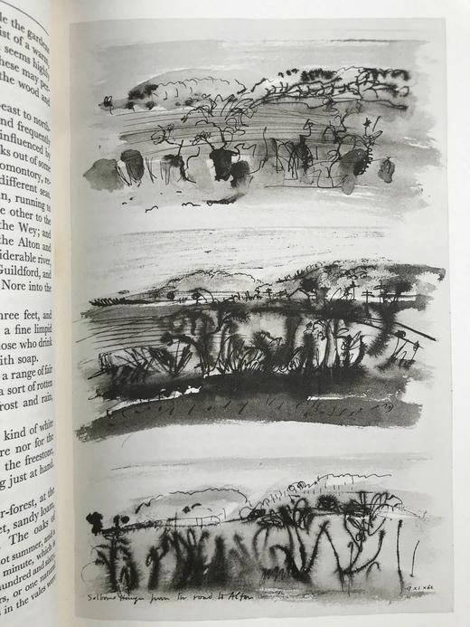 怀特《塞耳彭自然史》（1962） 12幅插图 精装16开带书匣 商品图7