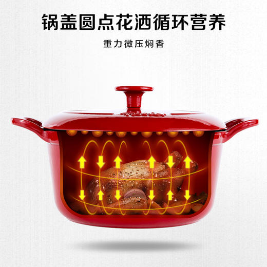 【已下架】积分换购 | 德国菲仕乐 Calen食色系列 铸铁锅珐琅锅20cm[福利品] 商品图2