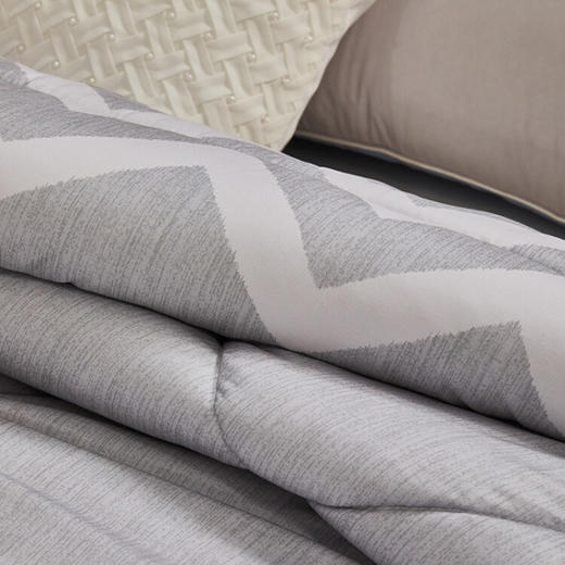 水星家纺  DH典雅负离子抗菌四季被  200cmx230cm 商品图1