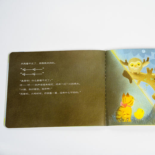 小鸡球球成长绘本系列：6册&9册（点读版） 商品图7