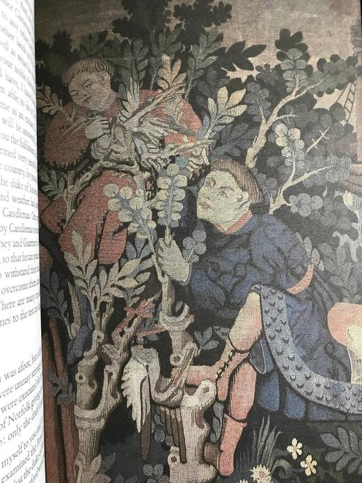 玫瑰战争中的帕斯顿家族 10幅彩色插图 精装18开带书匣 商品图12