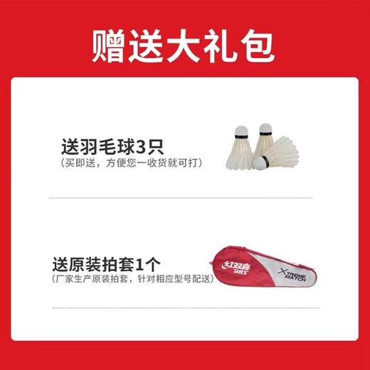 红双喜DHS1021耐打初中级家庭铝合金羽毛球拍2只装带球套装 商品图5