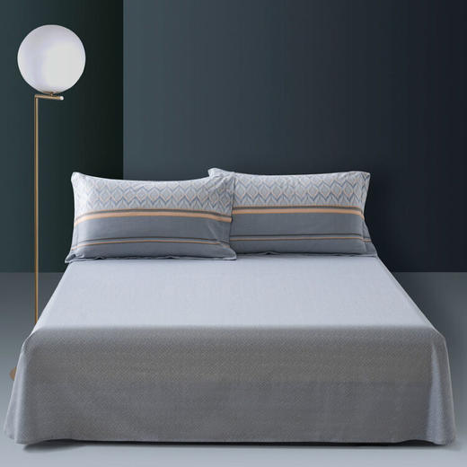 水星家纺  DH奕然 适用1.8米床  k04 122097 商品图1