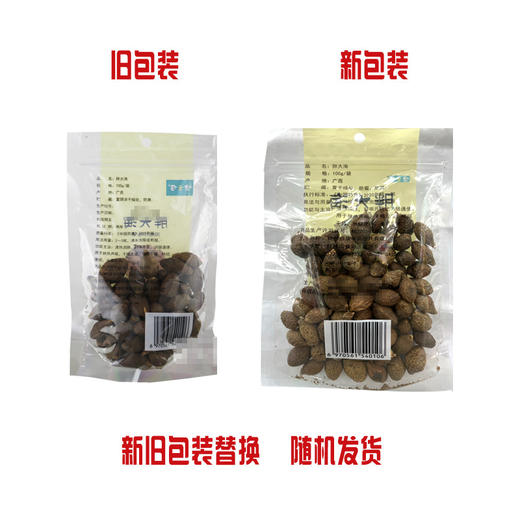 健之佳,胖大海【100g/袋】 桂林鼎康 商品图4