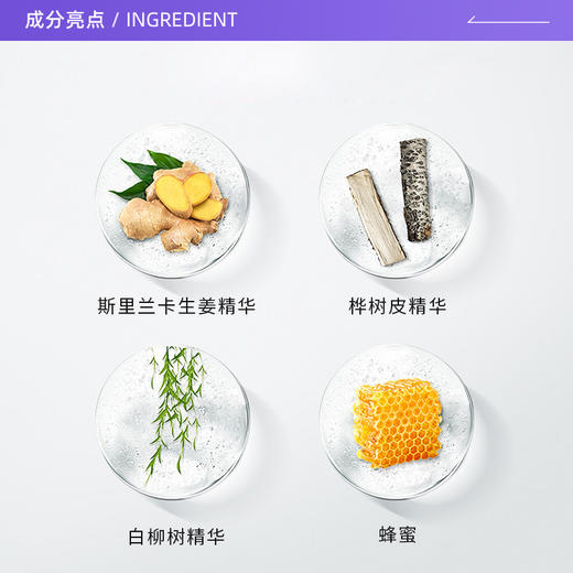 【中欧班列精选】英国生姜洗发水  The Body Shop 小铺生姜固养止痒去屑洗发水400ml/瓶 商品图3