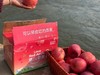 洛川苹果｜弘田富士 可以带皮吃的国礼级苹果 4.8-8斤装 精致手提礼盒 商品缩略图4