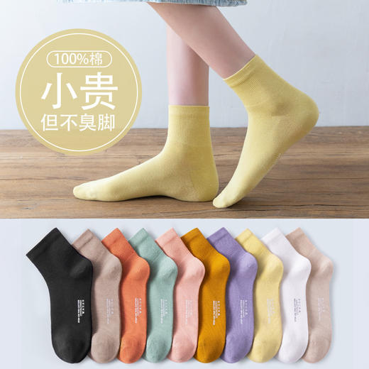 【7双装！新疆长绒棉袜】新疆棉 春夏袜子女 全棉中筒高帮日系女士短袜薄款吸汗纯棉女长袜 商品图0