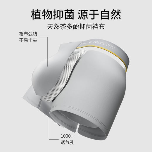 有棵树加大码莫代尔男士四角裤3条装C-U1009 商品图2