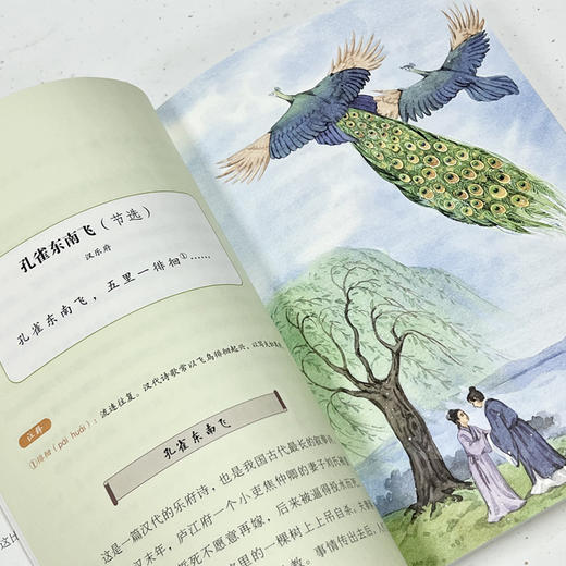 《古诗文中的科学》全4册小学中高年级92岁科普畅销作家刘兴诗为你讲“古诗文中隐藏的科学“！ 商品图6