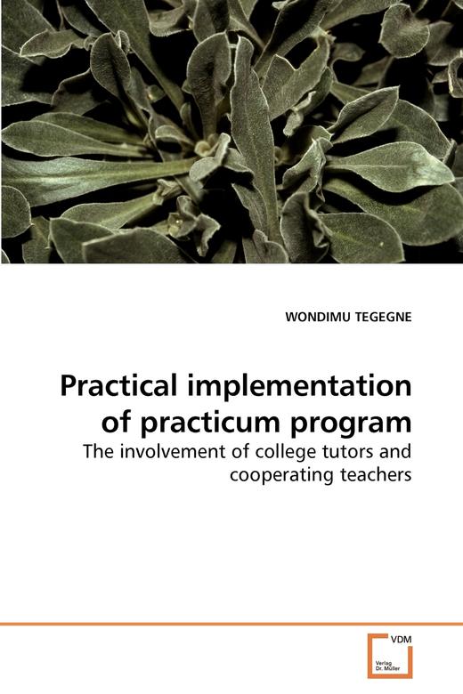 【预售 按需印刷】Practical implementation of  practicum program 商品图0