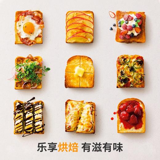 BALMUDA蒸汽迷你电烤箱 日本巴慕达正品 复烤面包 超出想象的美好 早餐机 |百里居 商品图12