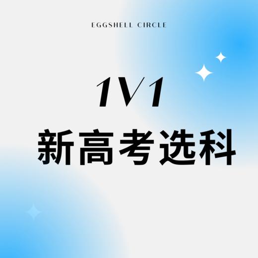 1V1新高考选科 商品图0