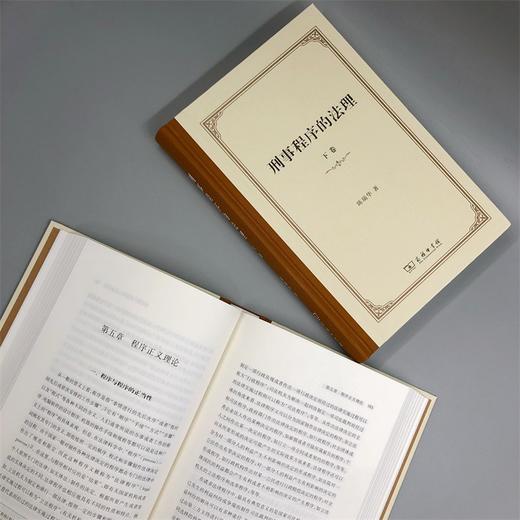 刑事程序的法理(上下卷) 商品图7