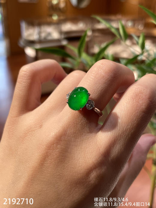 老坑玻璃帝王绿黄阳蛋面戒指【2192710】具体价格微信咨询 商品图7