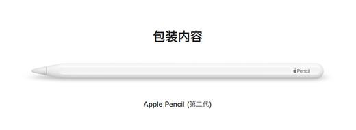 苹果原装iPad专用二代笔，成色二手95新以上 商品图2