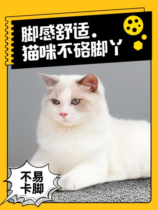 金多乐钠基矿猫砂4kg/4.6kg 商品图9