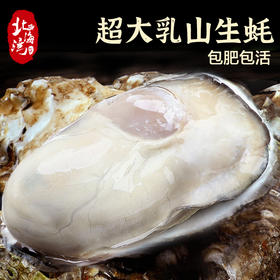 正宗乳山生蚝3两+牡蛎鲜活5斤装送刀子手套芥末3件套海蛎子生鲜