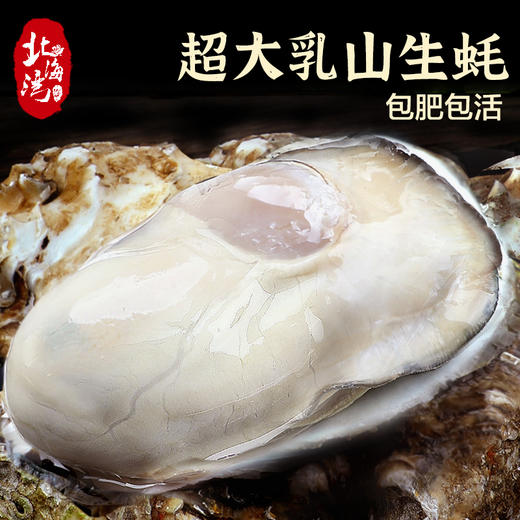 【北海湾】生蚝牡蛎鲜活4斤装送刀子手套芥末3件套海蛎子生鲜 商品图1
