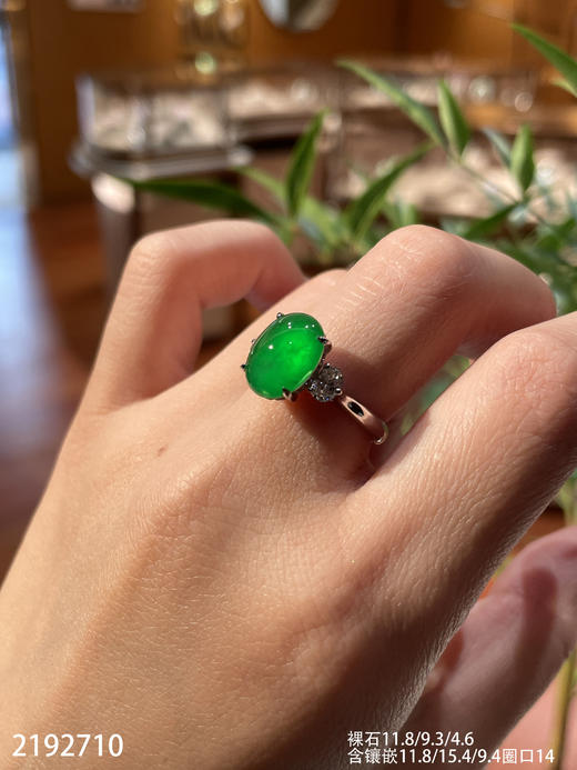 老坑玻璃帝王绿黄阳蛋面戒指【2192710】具体价格微信咨询 商品图6