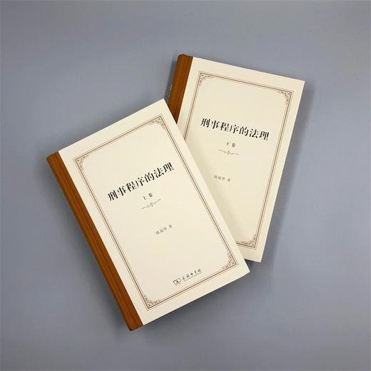 刑事程序的法理(上下卷) 商品图1