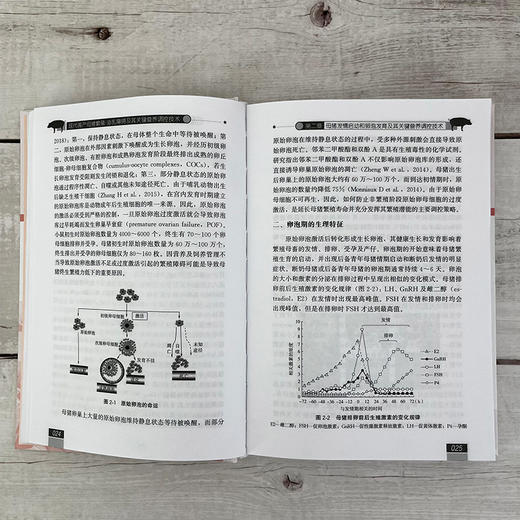 现代高产母猪繁殖-泌乳障碍及其关键营养调控技术 商品图5