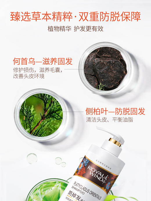 追风 追风防掉发去屑洗发露700g/480g 商品图3
