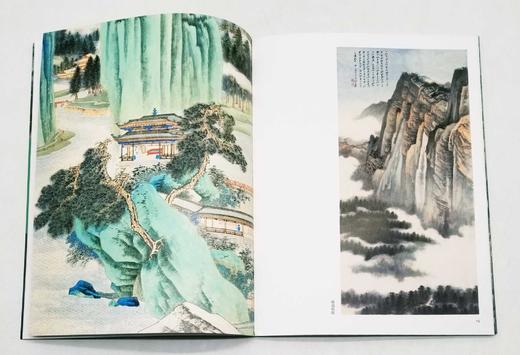 《朵云真赏苑·名画抉微》7种：《黄宾虹山水》《齐白石花鸟》《吴湖帆山水》《谢稚柳山水》《徐燕孙人物》《于非闇花鸟》《张大千山水》  16开平装铜版彩印，上海书画出版社出版2018年一版一印 商品图6