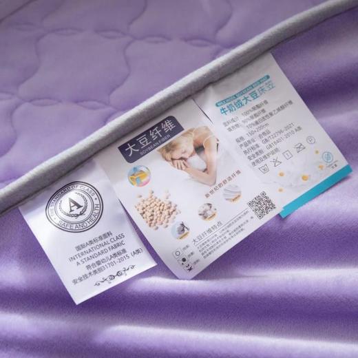【蓝迪丝】自发热牛奶绒乳胶床垫3件套床笠款 商品图7