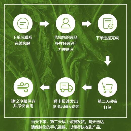 【仅限南京市】当季时令有机蔬菜 基地直发 多种蔬菜任选9斤 每个品种1斤起 包邮 商品图1