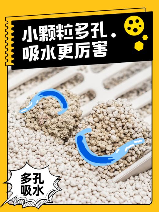 金多乐钠基矿猫砂4kg/4.6kg 商品图7
