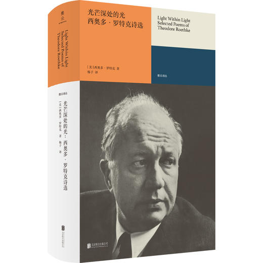 光芒深处的光：西奥多·罗特克诗选 商品图1