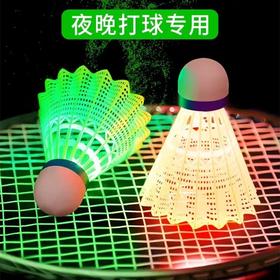 夜光羽毛球塑料防风耐打室外正品训练荧光球尼龙led灯发光羽毛球忍牌2个/筒