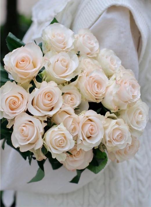 辛西娅玫瑰【用一束花，讲述一个浪漫的故事】简小姐精选 温柔奶油色玫瑰 辛西娅 2件包邮 下单5天发货 商品图0