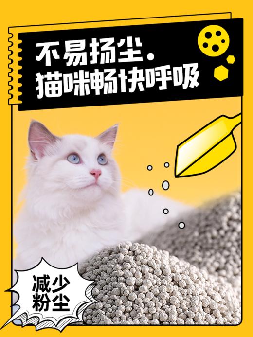 金多乐钠基矿猫砂4kg/4.6kg 商品图6