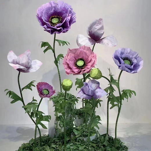 万紫千红套餐（运费自理） 商品图1