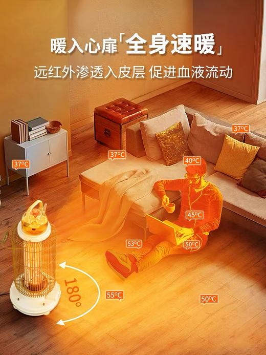 星钻取暖器家用节能电暖炉速热碳纤维小型烤火炉复古鸟笼小太阳电暖器NRK/NRK-02/NRS 商品图5