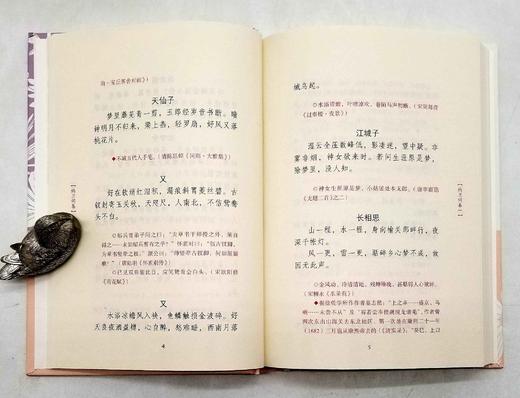 《历代名家词集》，32开精装函套，共10册，黄霖等导读，上海古籍出版社2018年版，定价328，售价100 商品图6