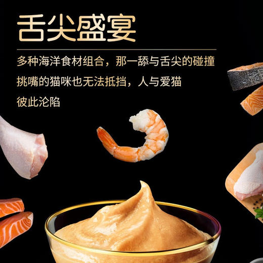 希宝猫条 猫咪宠物零食48g 成幼猫罐软包 增肥营养猫零食 商品图1