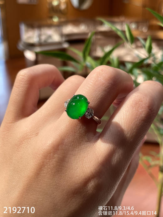 老坑玻璃帝王绿黄阳蛋面戒指【2192710】具体价格微信咨询 商品图0
